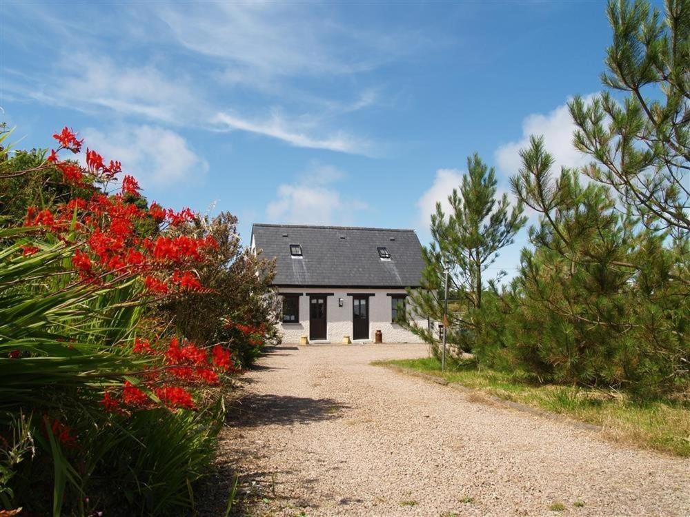 Cockshead Cottage Saint Dogmaels Bagian luar foto